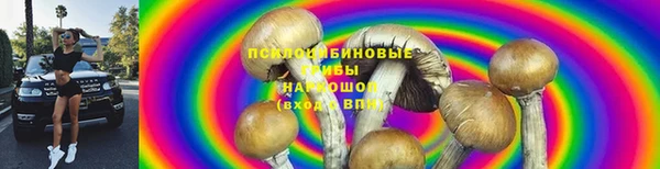 mdpv Алзамай