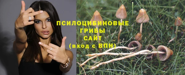 герыч Абаза